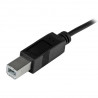 StarTech.com Câble USB-B vers USB-C de 1m, Câble de Transfert de Données, USB 2.0, USB-C