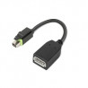 Lenovo 4X90Q93975 câble vidéo et adaptateur Mini DisplayPort DisplayPort Noir