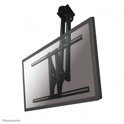 Neomounts PLASMA-C100BLACK...