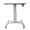 StarTech.com Poste de travail debout mobile