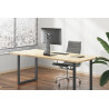 Neomounts FPMA-D850BLACK Support d'écran à poser 10-27"