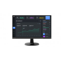 Lenovo C24-40 LED display...