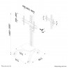 Neomounts PLASMA-M2000 Chariot pour écran 37-85"