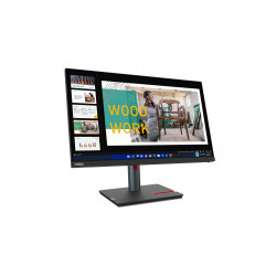 Lenovo ThinkVision P24q-30 LED display 60,5 cm (23.8") 2560 x 1440 pixels Quad HD Noir