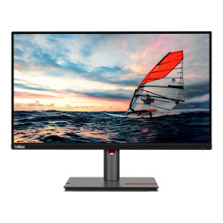 Lenovo ThinkVision P25i-30...