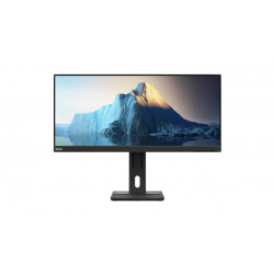 Lenovo ThinkVision E29w-20...
