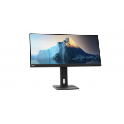 Lenovo ThinkVision E29w-20 LED display 73,7 cm (29") 2560 x 1080 pixels Full HD Ultra large Noir