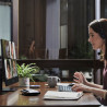HP ProOne 440 G9 AiO i314100T8GB/256GBPC