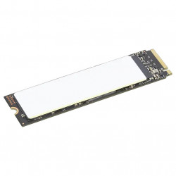 Lenovo 4XB1N36074 disque...