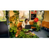 Victus Gaming Laptop 16-r1002nf FR