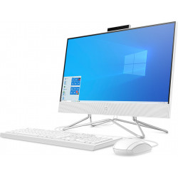 HP 22-df0097n Intel® Core™ i3 i3-1005G1 54,6 cm (21.5") 1920 x 1080 pixels PC All-in-One 4 Go DDR4-SDRAM 1,13 To HDD+SSD Win