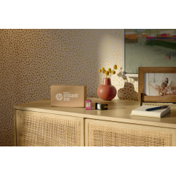 HP ENVY Inspire 7924e All-in-One