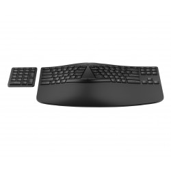HP STORE 3PL clavier Maison RF sans fil + Bluetooth Noir
