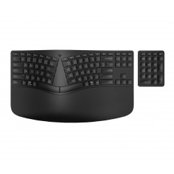 HP STORE 3PL clavier Maison RF sans fil + Bluetooth Noir