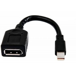 HP Câble adaptateur miniDP-DP