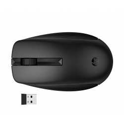 HP 650 WRLS KB/MSE COMBO BLK clavier Souris incluse Maison RF sans fil Noir