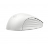 HP 650 WRLS KB/MSE COMBO WHT FR clavier Souris incluse Maison RF sans fil Blanc