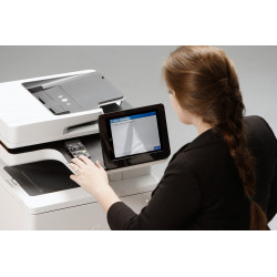 HP Accessibility Assistant