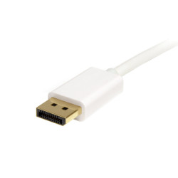 StarTech.com Câble Mini DisplayPort vers DisplayPort 1.2 de 2 m - Câble Adaptateur Mini DP vers DisplayPort 4K x 2K UHD - Câ