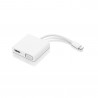 Lenovo GX90T33021 adaptateur graphique USB 3840 x 2160 pixels Blanc