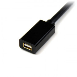 StarTech.com Câble d'Extension Mini DisplayPort de 2 m - Vidéo 4K x 2K - Câble d'Extension Mini DisplayPort Mâle vers Femel