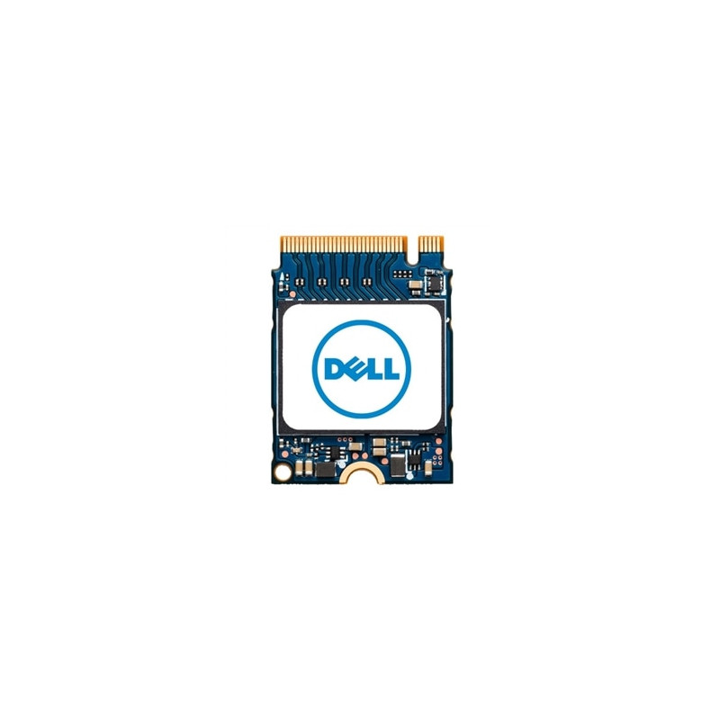 DELL AB292880 disque SSD 256 Go M.2 PCI Express NVMe