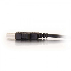 C2G 2 m Rallonge de câble USB 2.0 mâle A vers femelle A - Noir