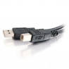 C2G Câble USB 2.0 A/B de 2 M - Noir