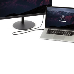 StarTech.com Câble Mini...