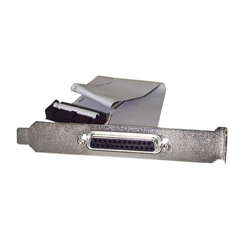 StarTech.com Nappe port parallèle DB25 femelle vers connecteur carte mère IDC 25 broches de 40 cm