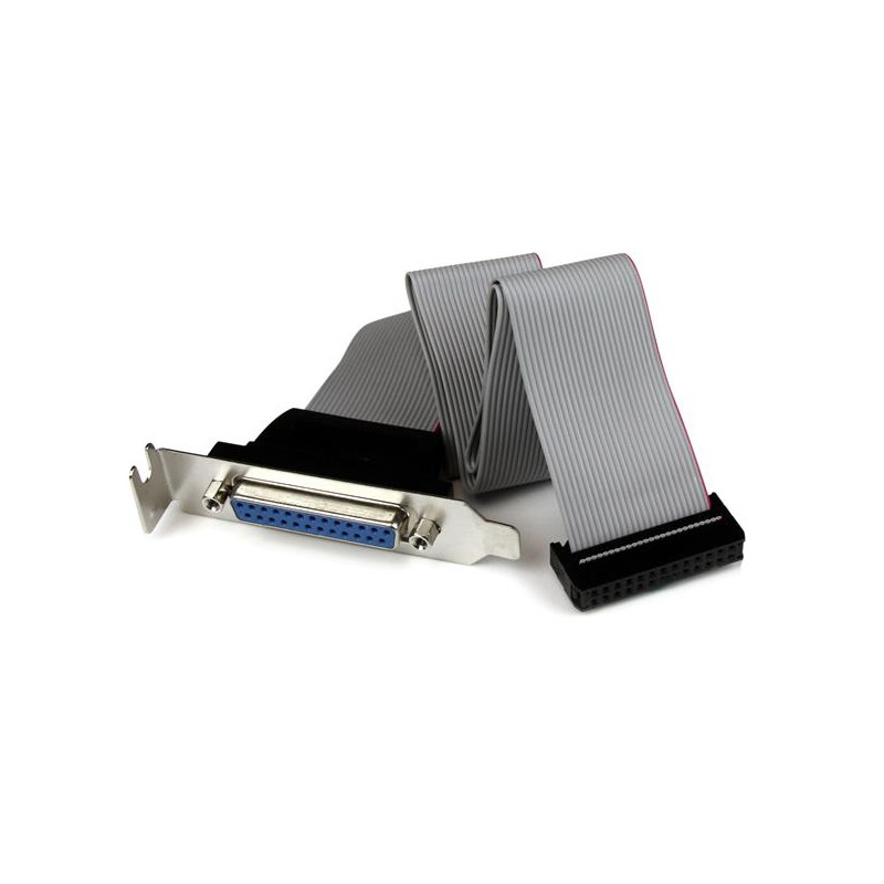 StarTech.com Câble adaptateur de carte mère à faible encombrement avec port parallèle, 40 cm, avec support – DB25 (F) ver