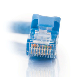 C2G Câble de raccordement réseau Cat6 avec gaine non blindé (UTP) de 2 M - Bleu