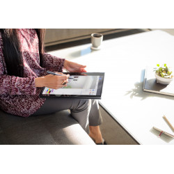 HP Stylet Tilt