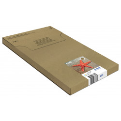 Epson Multipack 4-colours...