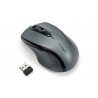 Kensington Souris sans fil taille moyenne Pro Fit® - gris anthracite