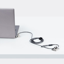 StarTech.com Câble Antivol pour Ordinateur Portable de 2m - Câble de Sécurité pour PC Compatible avec Noble Wedge/Nano/K-Sl