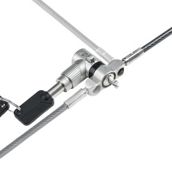 StarTech.com Câble Antivol pour Ordinateur Portable de 2m - Câble de Sécurité pour PC Compatible avec Noble Wedge/Nano/K-Sl