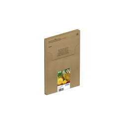 Epson 604 EasyMail...