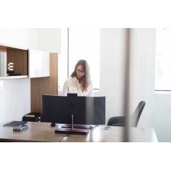 HP Souris sans fil Premium