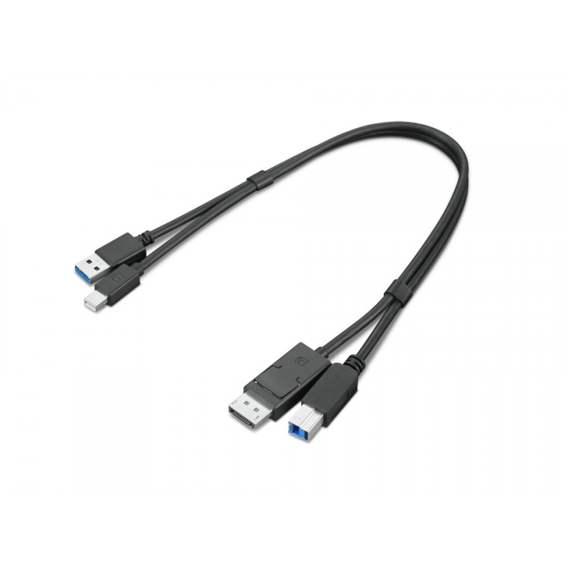 Lenovo 4X91D11453 câble USB USB 3.2 Gen 1 (3.1 Gen 1) 0,43 m USB A USB B Noir