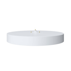 Ultimate Ears 989-000434 chargeur d'appareils mobiles Haut-parleur portable Blanc USB Intérieure