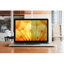 3M BP170W1B filtre anti-reflets pour écran et filtre de confidentialité 43,2 cm (17") Ordinateur portable Filtre de confident
