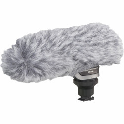 Canon Microphone stéréo...
