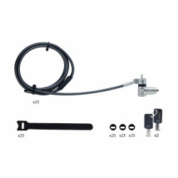 StarTech.com Lot de 25 Antivols Universels de 2m pour Ordinateur Portable, Serrure Universelle à Clé Maîtresse, Sécurité I