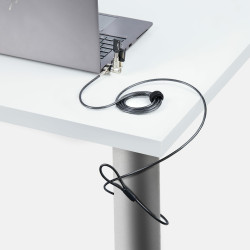 StarTech.com Lot de 25 Antivols Universels de 2m pour Ordinateur Portable, Serrure Universelle à Clé Maîtresse, Sécurité I