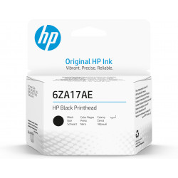 HP Tête d’impression noire...