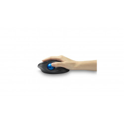 Kensington Pro Fit Ergo TB450 souris Bureau Droitier RF sans fil + Bluetooth Trackball 1600 DPI