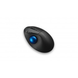 Kensington Pro Fit Ergo TB450 souris Bureau Droitier RF sans fil + Bluetooth Trackball 1600 DPI