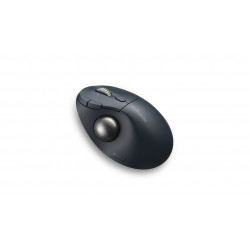 Kensington Pro Fit Ergo TB550 souris Bureau Droitier RF sans fil + Bluetooth Trackball 1600 DPI