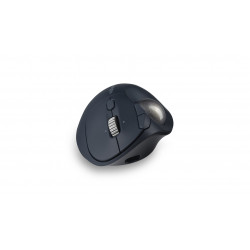 Kensington Pro Fit Ergo TB550 souris Bureau Droitier RF sans fil + Bluetooth Trackball 1600 DPI